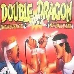 Double Dragon Cover