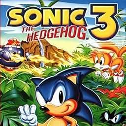 Sonic The Hedgehog 3 Cover